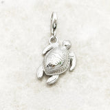 남생이 Charm