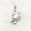 カメ（Tortoise） Charm