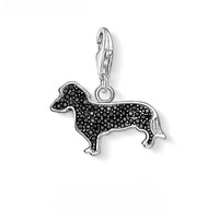 귀여운 Dachshund 매력