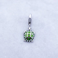 녹색 거북이 Charm