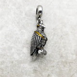 Peregrine Falcon 매력
